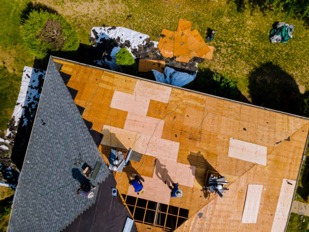 Best Roof Gutter Cleaning  in Baldwin, FL