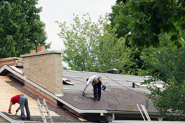 Best Roof Gutter Cleaning  in Baldwin, FL